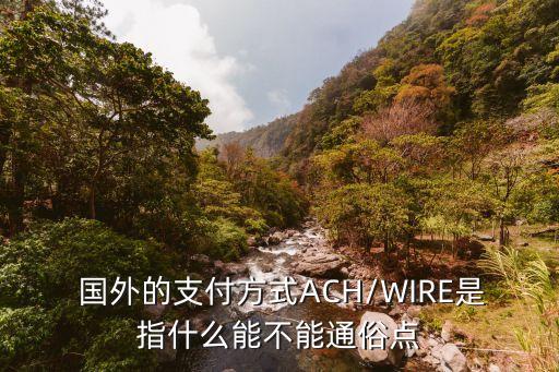 国外说付款,国外买东西用什么付款
