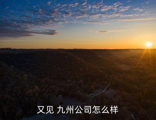 又见 九州公司怎么样