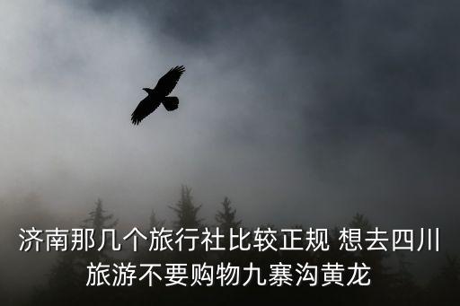 正规旅游公司有哪些，济南那几个旅行社比较正规 想去四川旅游不要购物九寨沟黄龙