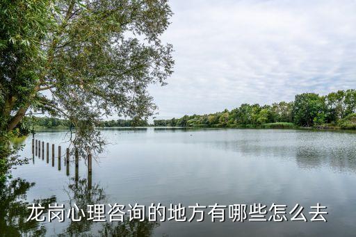 龙岗心理咨询的地方有哪些怎么去