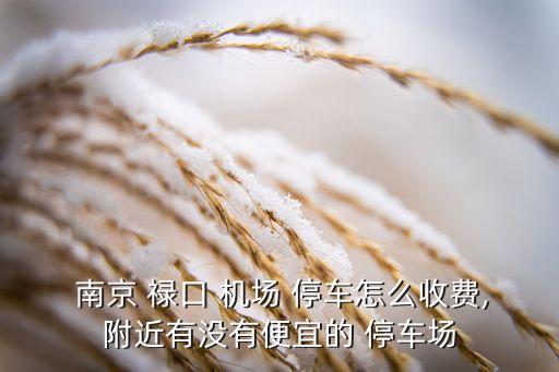 南京禄口国际机场哪里停车
