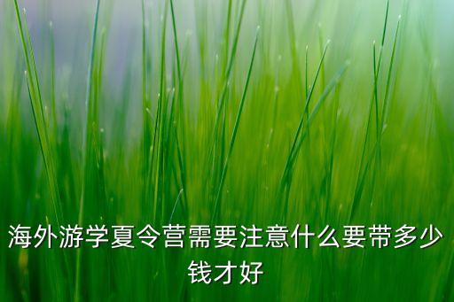 海外游学夏令营需要注意什么要带多少钱才好