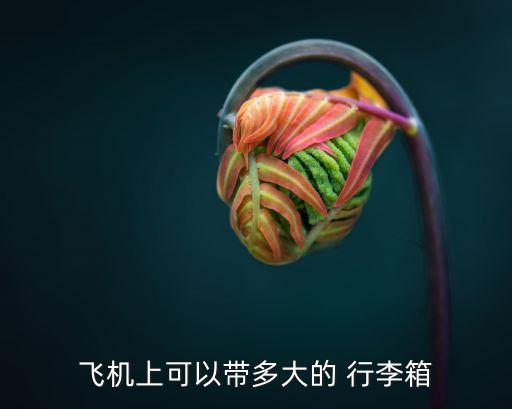 飞机上可以带多大的 行李箱