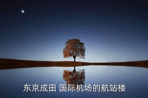  东京成田 国际机场的航站楼