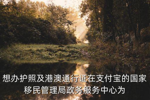 想办护照及港澳通行证在支付宝的国家移民管理局政务服务中心为