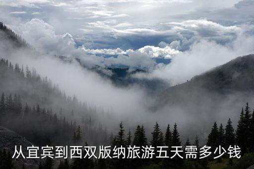 从宜宾到西双版纳旅游五天需多少钱