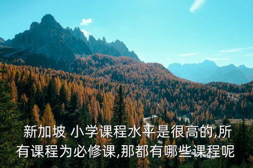新加坡国际小学怎么样