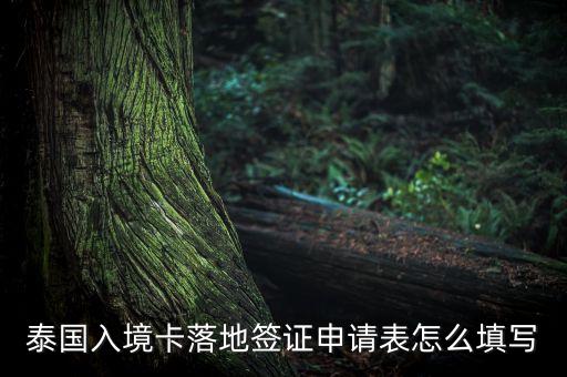 泰国落地签证申请表打印，泰国签证申请表可以国内打印好吗