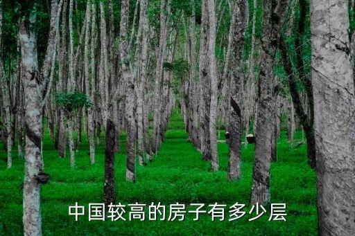 建宁房南方国际,广西建宁是南方电网