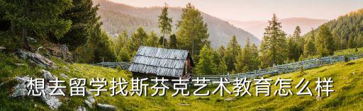想去留学找斯芬克艺术教育怎么样