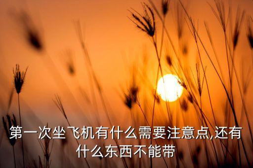 国际航班能不能用ipad