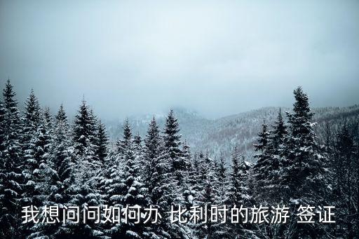 我想问问如何办 比利时的旅游 签证