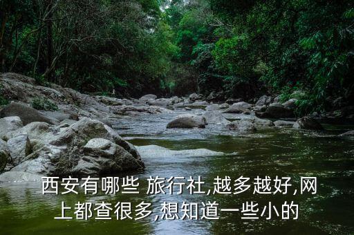  西安有哪些 旅行社,越多越好,网上都查很多,想知道一些小的