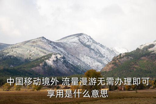 中国移动境外 流量漫游无需办理即可享用是什么意思