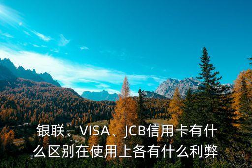 国外用visa好还是银联,国外银联支付和visa哪种合适