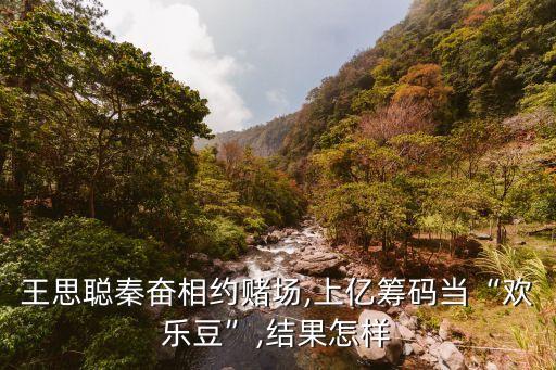 王思聪秦奋相约赌场,上亿筹码当“欢乐豆”,结果怎样