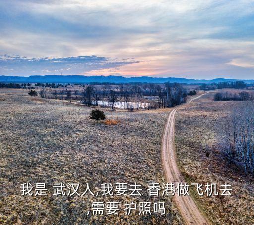 我是 武汉人,我要去 香港做飞机去,需要 护照吗