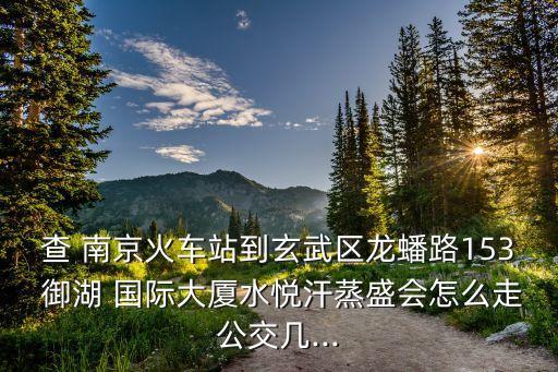 查 南京火车站到玄武区龙蟠路153 御湖 国际大厦水悦汗蒸盛会怎么走公交几...