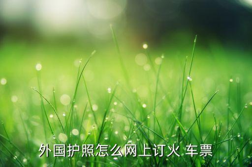 在国外怎样买车票,怎样买动车票便宜