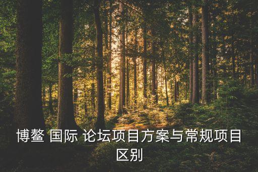 博鳌 国际 论坛项目方案与常规项目区别