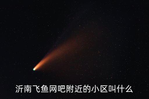 沂南飞鱼网吧附近的小区叫什么
