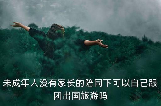 未成年人没有家长的陪同下可以自己跟团出国旅游吗