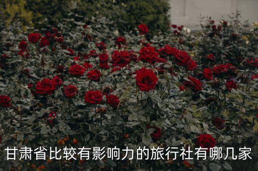 甘肃地接旅行社，甘肃的旅游社
