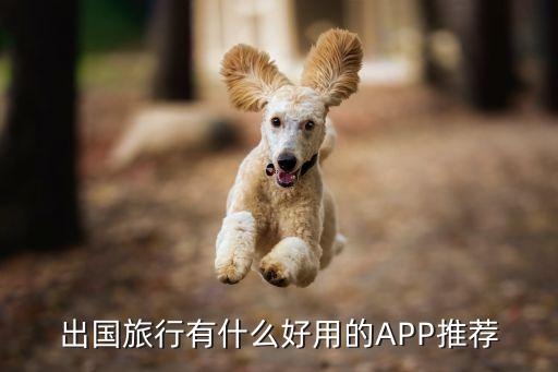 出国旅行有什么好用的APP推荐