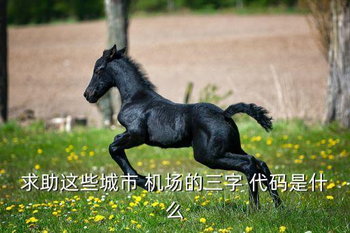 求助这些城市 机场的三字 代码是什么