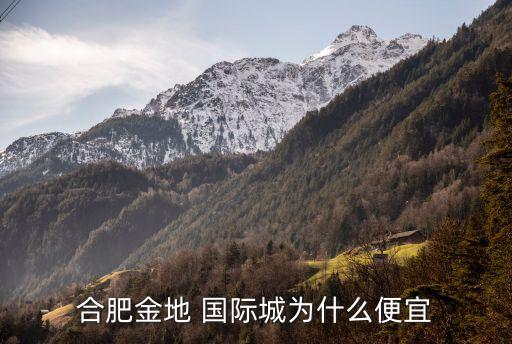 金地国际城新开的网咖