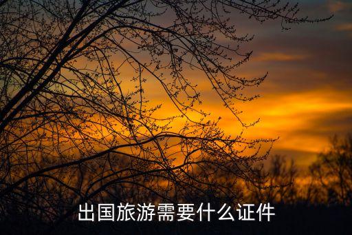 出国旅游需要什么证件