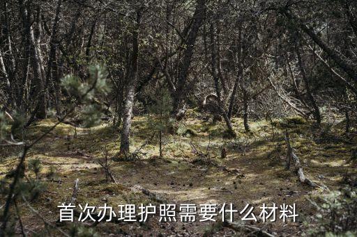 首次办理护照需要什么材料