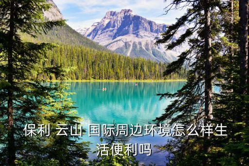  保利 云山 国际周边环境怎么样生活便利吗