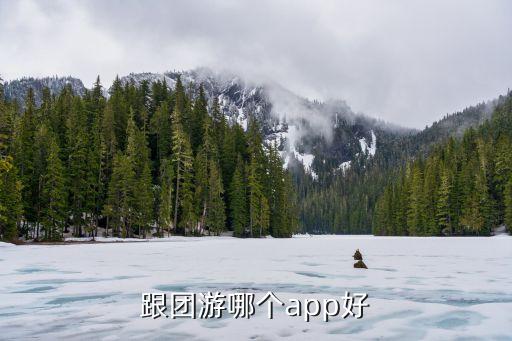 跟团游哪个app好