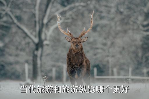 当代旅游和旅游纵览哪个更好