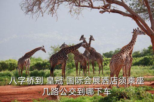 昆山皇冠国际老板