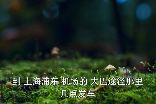 到 上海浦东 机场的 大巴途径那里几点发车