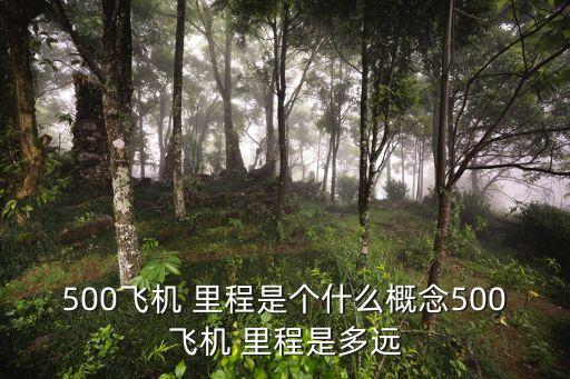 500飞机 里程是个什么概念500飞机 里程是多远