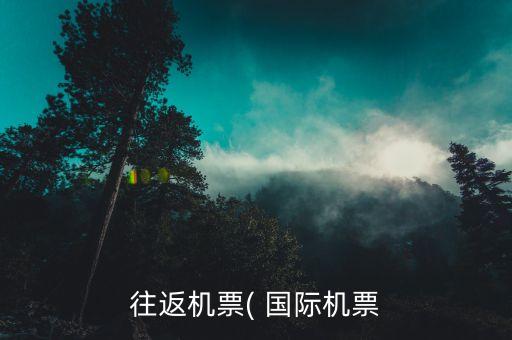 往返机票( 国际机票