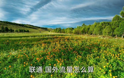 联通 国外流量怎么算