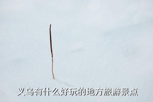  义乌有什么好玩的地方旅游景点