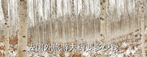 去国外旅游大约要多少钱