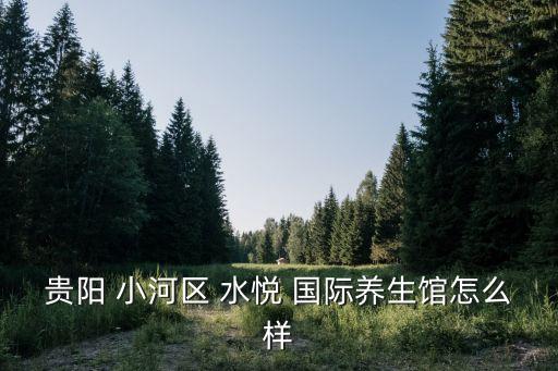小河平桥水悦国际,水悦国际商务旅游度假村哪里有水疗馆?