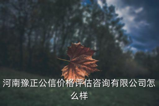 河南豫正公信价格评估咨询有限公司怎么样