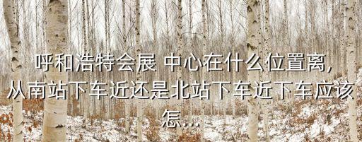 呼和浩特中心国际