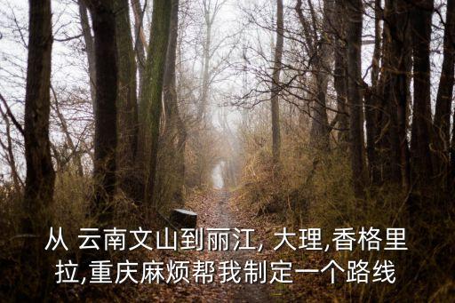从 云南文山到丽江, 大理,香格里拉,重庆麻烦帮我制定一个路线