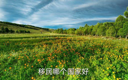 移民哪个国家好
