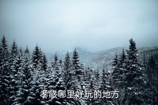  孝感哪里好玩的地方