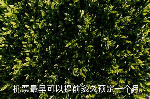  机票最早可以提前多久预定一个月