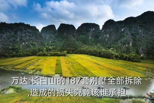 万达 长白山的187套别墅全部拆除,造成的损失究竟该谁承担
